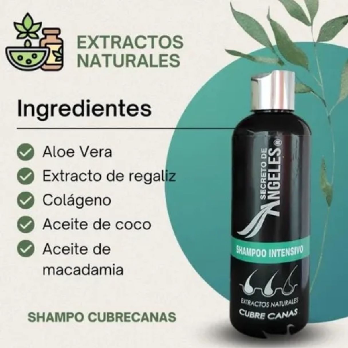 SHAMPOO CUBRECANAS + SPLAS CAPILAR RESVE